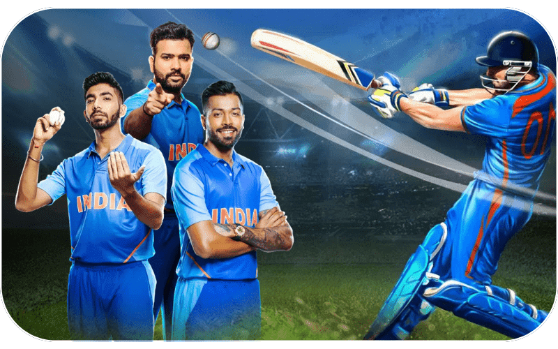 Cricket betting on Winner11