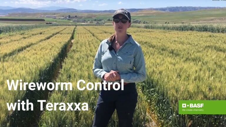 Understanding the Reddy Anna ID: Its Features, Benefits, and Community Impact